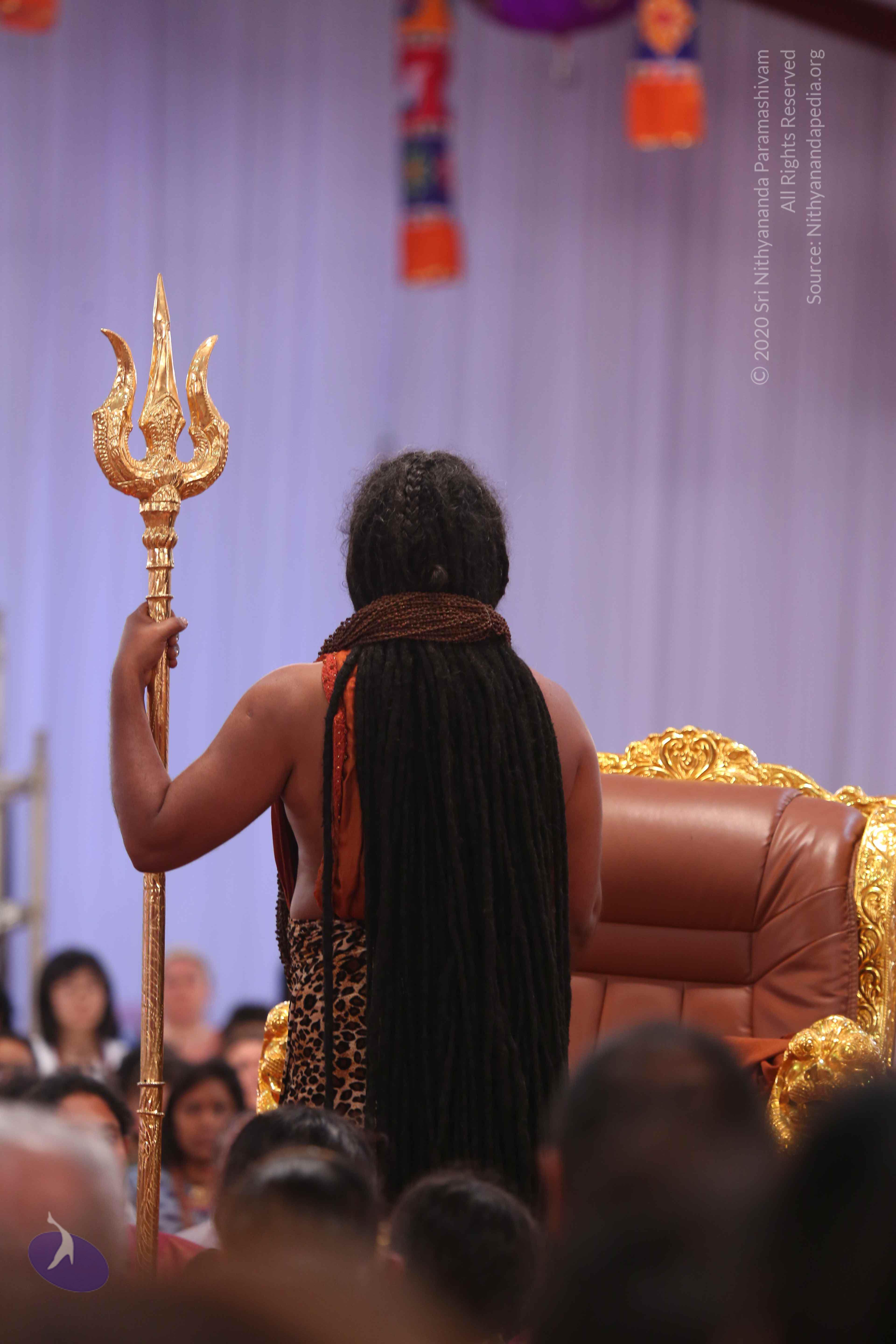 20161204_Photo_1144_IMGL5599_CMP_WM